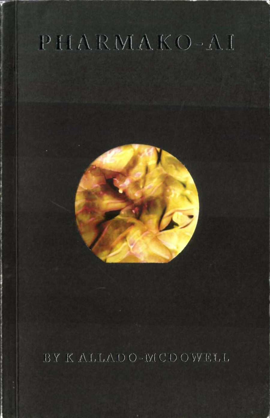 Allado-McDowell, Pharmako-AI
